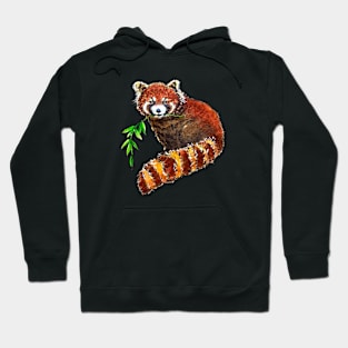 Fuzzy Red Panda Hoodie